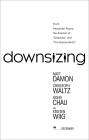 Downsizing poster