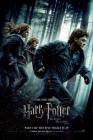 Harry Potter and the Deathly Hallows Part 1 poster