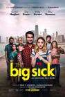 The Big Sick poster