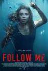 Follow Me poster