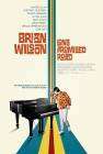 Brian Wilson: Long Promised Road poster