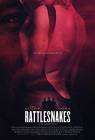 Rattlesnakes poster