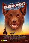 Red Dog: True Blue poster