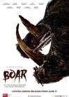 Boar poster